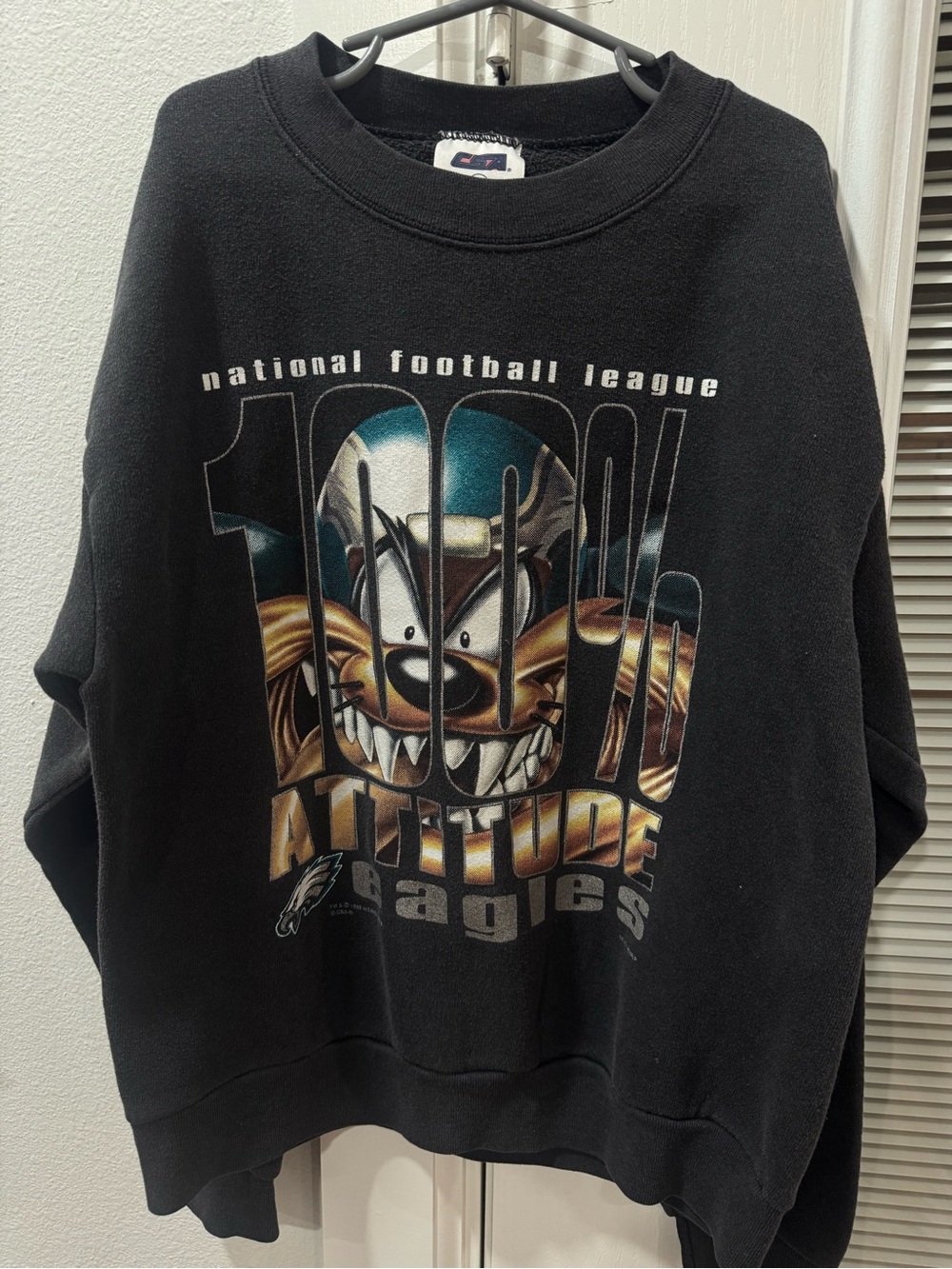 Kids vintage Taz NFL Philadelphia Eagles Graphic Sweatshirt
